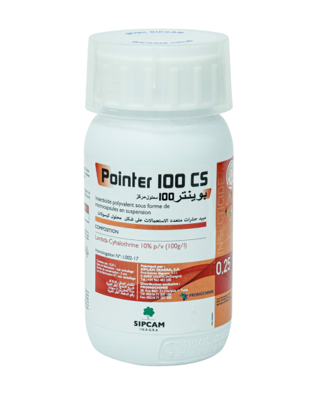Pointer 100 CS | Lambda-Cyhalothrine 100 g/L Insecticide