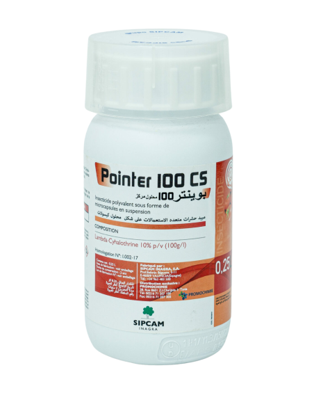 Pointer 100 CS | Lambda-Cyhalothrine 100 g/L Insecticide
