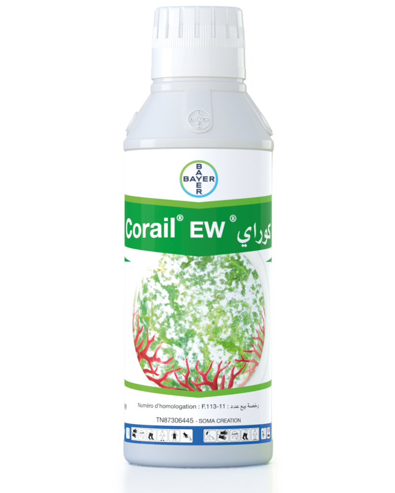 Corail 250 EW | Fongicide Tébuconazole Vigne