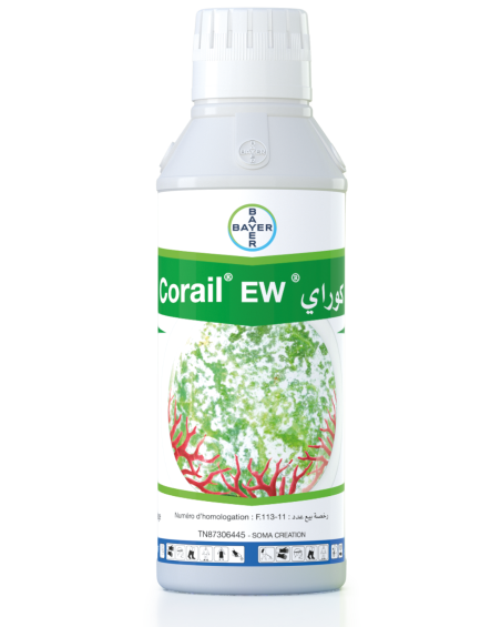 Corail 250 EW | Fongicide Tébuconazole Vigne