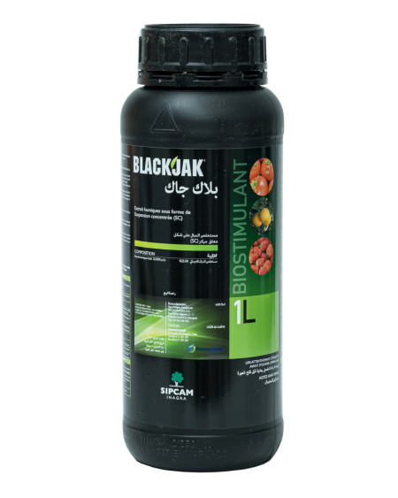 Blackjak | Biostimulant Acides Humiques et Fulviques