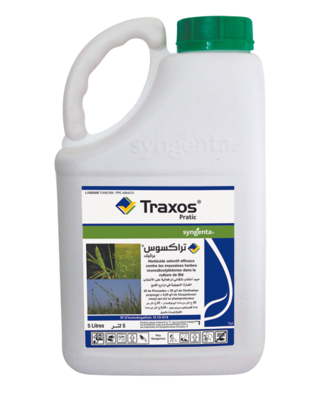 Traxos Pratic – Herbicide anti-graminées pour blé en Tunisie