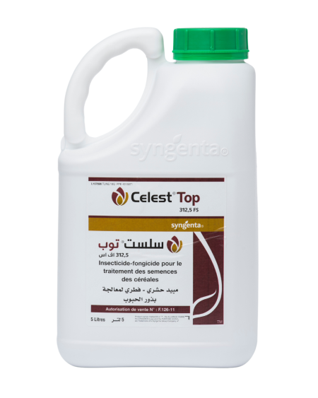 CELEST® TOP 312.5 FS – Traitement des semences de céréales en Tunisie