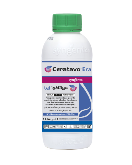 Ceratavo® Era – Fongicide contre la rouille du blé en Tunisie