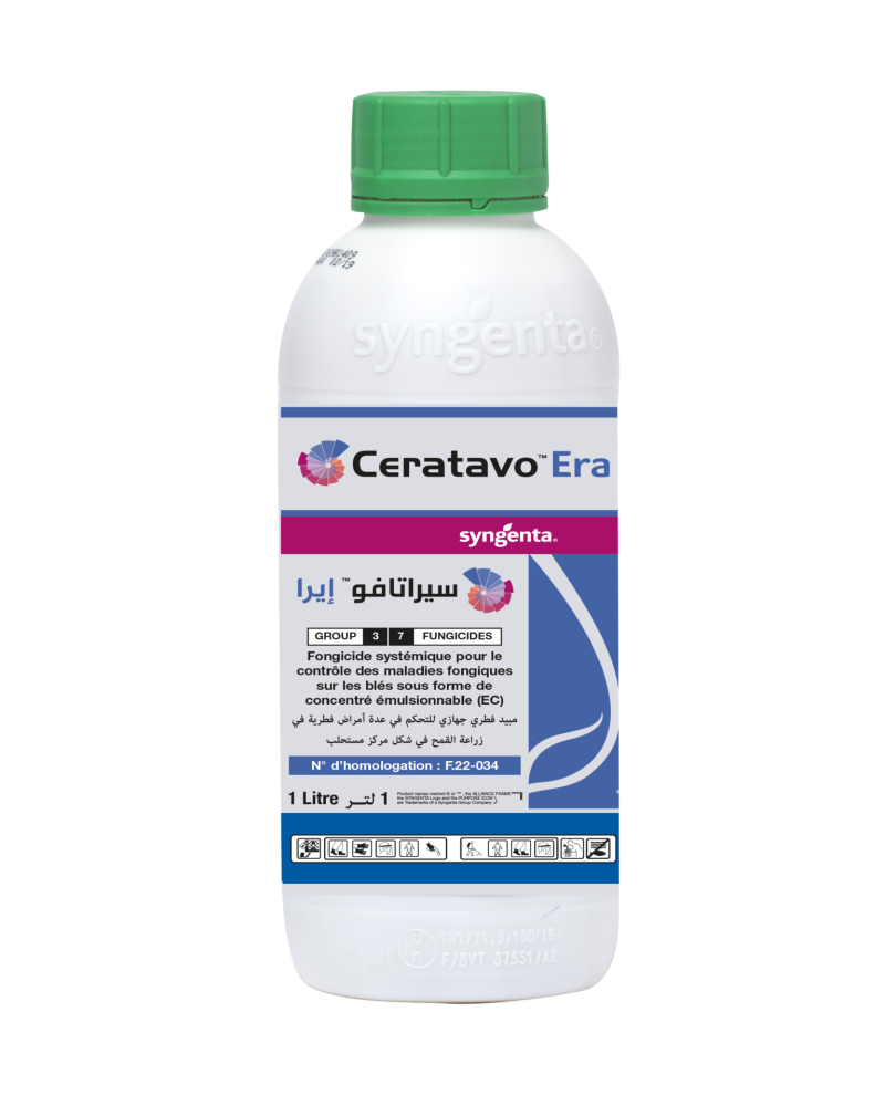 Ceratavo® Era – Fongicide contre la rouille du blé en Tunisie
