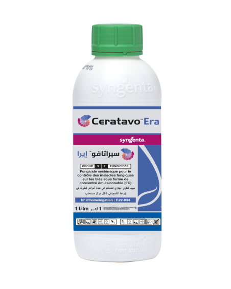 Ceratavo® Era – Fongicide contre la rouille du blé en Tunisie