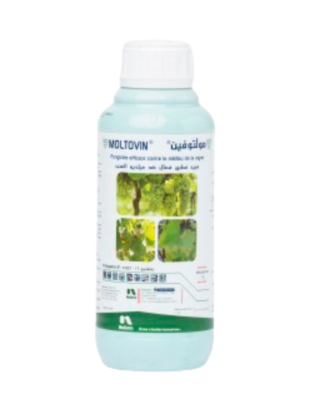 MOLTOVIN fongicide Nufarm à base de sulfate de cuivre tribasique et de cymoxanil contre le mildiou de la vigne