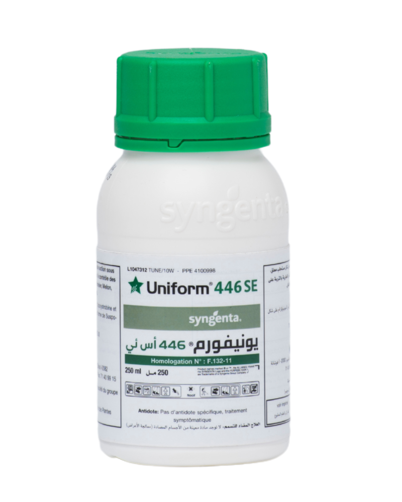 UNIFORM 446 SE Syngenta, fongicide à l’azoxystrobine et au méfénoxam contre les maladies du sol en Tunisie