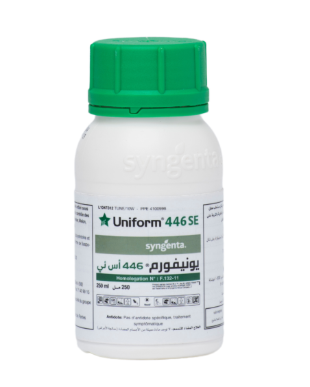 UNIFORM 446 SE Syngenta, fongicide à l’azoxystrobine et au méfénoxam contre les maladies du sol en Tunisie