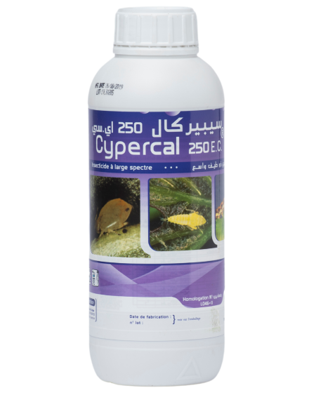 CYPERCAL 250 EC, insecticide à base de cyperméthrine 250 g/L contre les ravageurs des cultures en Tunisie