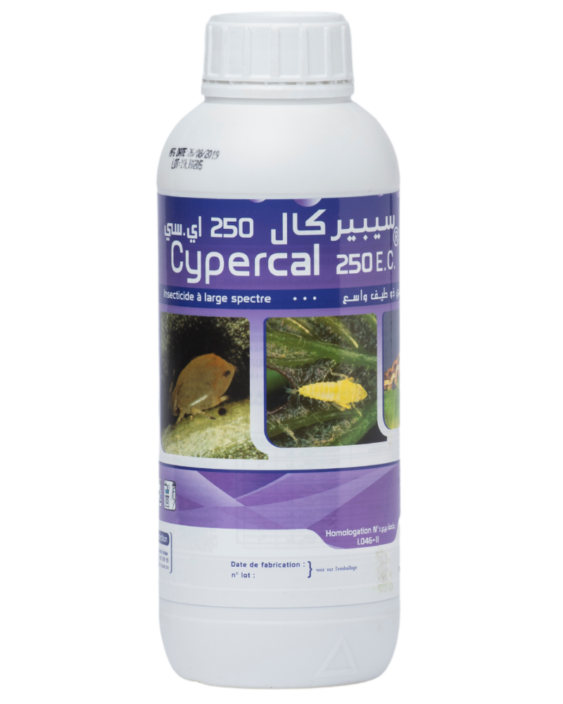 CYPERCAL 250 EC, insecticide à base de cyperméthrine 250 g/L contre les ravageurs des cultures en Tunisie