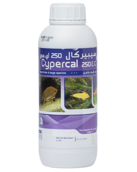 CYPERCAL 250 EC, insecticide à base de cyperméthrine 250 g/L contre les ravageurs des cultures en Tunisie