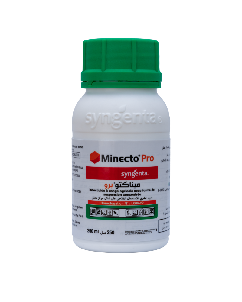 Minecto Pro® SC – Insecticide contre Tuta et mouche blanche
