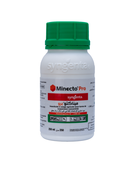 Minecto Pro® SC – Insecticide contre Tuta et mouche blanche