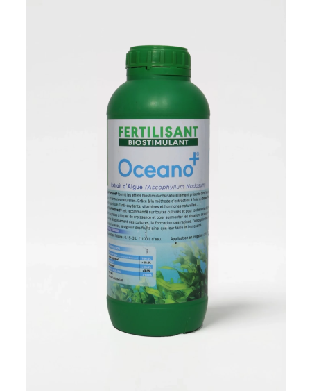 Oceano Plus Fertivert | Biostimulant Ascophyllum nodosum Anti-Stress