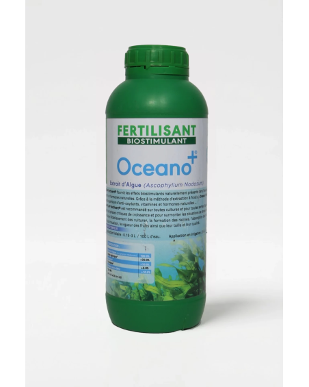 Oceano Plus Fertivert | Biostimulant Ascophyllum nodosum Anti-Stress