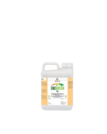 ENEGREEN Mg – Biostimulant photosynthèse et nouaison
