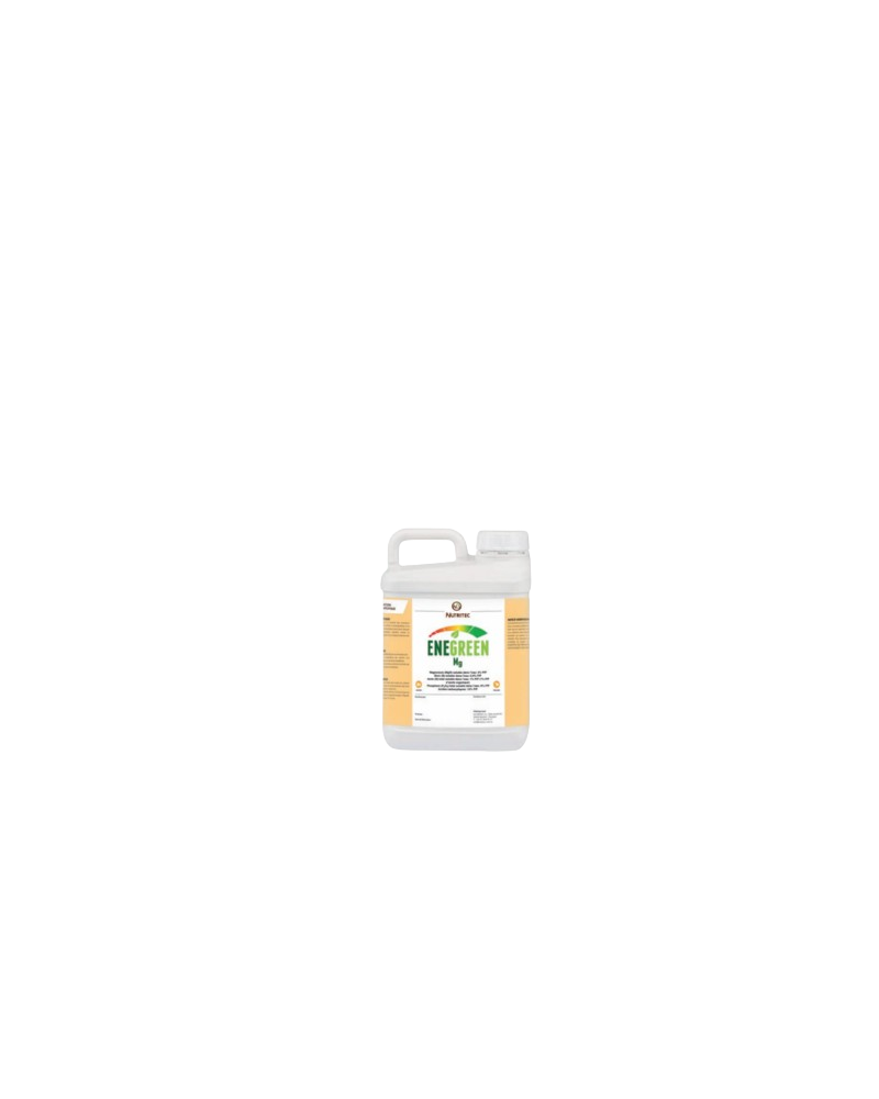 ENEGREEN Mg – Biostimulant photosynthèse et nouaison