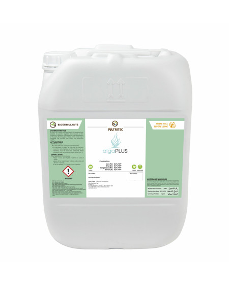 ALGAPLUS – Biostimulant aux extraits d’algues