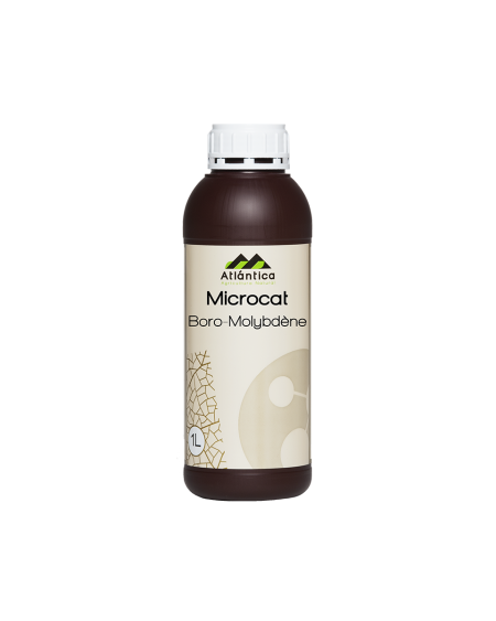 MICROCAT® Bore‑Molybdène – Correcteur floraison et nouaison