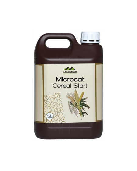 MICROCAT® Céréales – Tallage et croissance