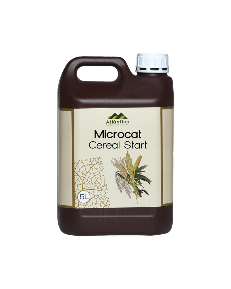 MICROCAT® Céréales – Tallage et croissance