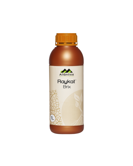 Raykat® Brix – Biostimulant coloration et sucres des fruits