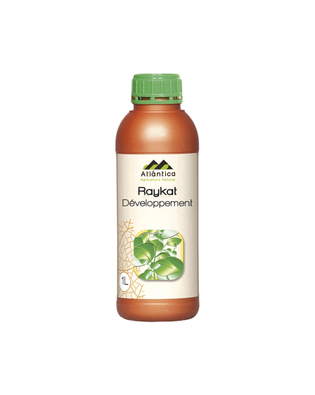 RAYKAT® Grossissement – Biostimulant pour le calibre des fruits