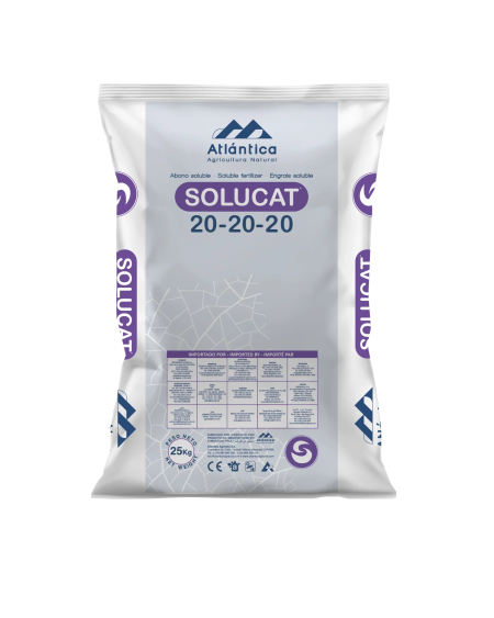 SOLUCAT 20-20-20 – Engrais NPK équilibré pour fertirrigation