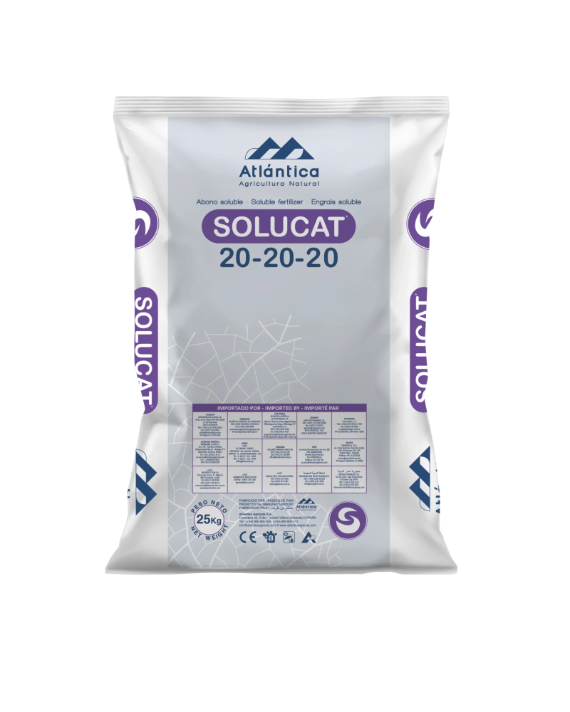 SOLUCAT 20-20-20 – Engrais NPK équilibré pour fertirrigation