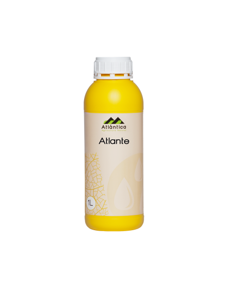 ATLANTE – Engrais phosphonate de potassium 30-20