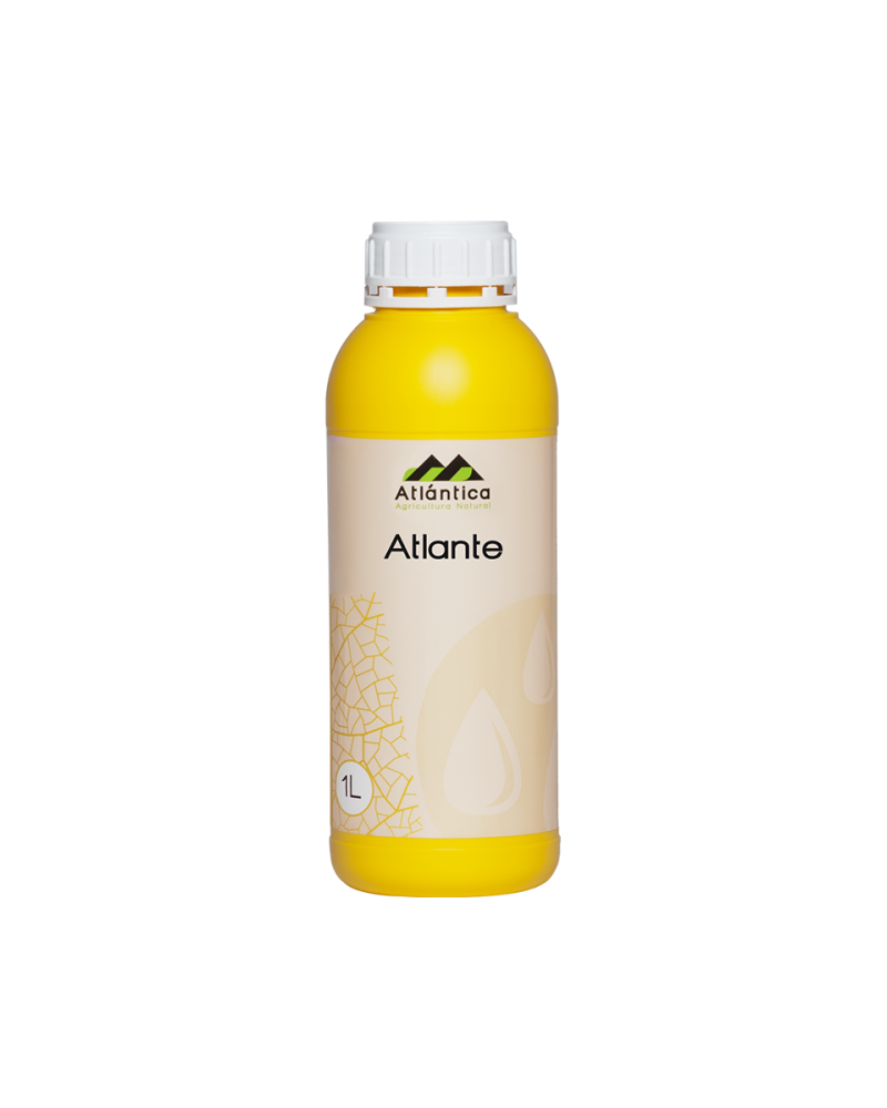 ATLANTE – Engrais phosphonate de potassium 30-20
