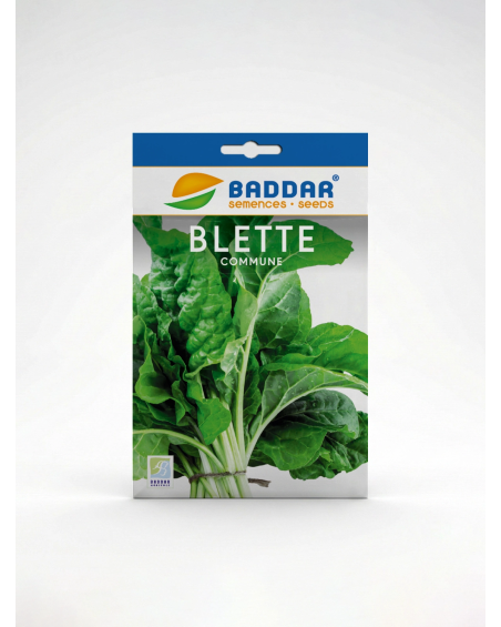 Semence Blette Baddar – Graines Potagères | Agriclic.tn