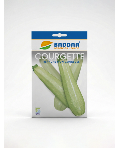 Courgette Blanche Baddar – Semences | Agriclic.tn