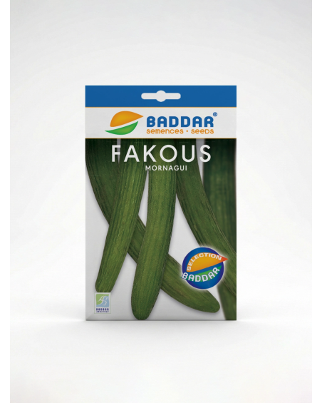 Fakous Mornagui – Semence locale tunisienne | Agriclic.tn
