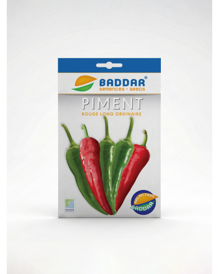 Semence Piment Rouge Long Ordinaire | Agriclic.tn