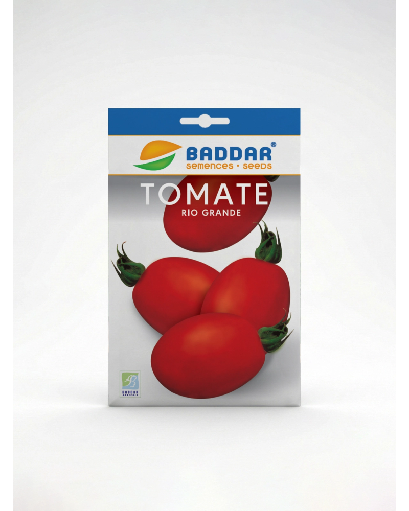 Semence Tomate Rio Grande Baddar | Agriclic.tn