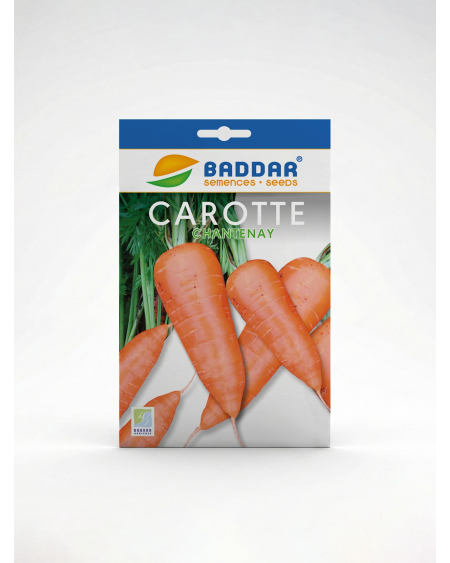 Carotte Chantenay Baddar – Semences Potagères | Agriclic.tn