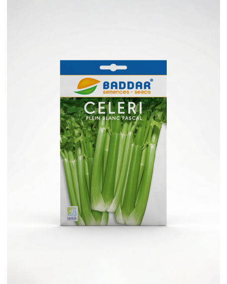Céleri Plein Blanc Pascal Baddar – Semences | Agriclic.tn