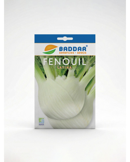 Fenouil Latina Baddar – Semences potagères | Agriclic.tn