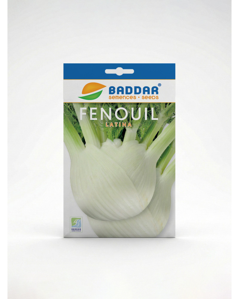 Fenouil Latina Baddar – Semences potagères | Agriclic.tn