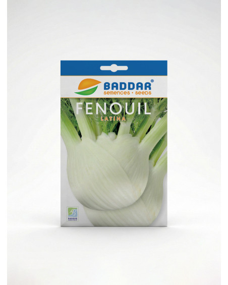 Fenouil Latina Baddar – Semences potagères | Agriclic.tn