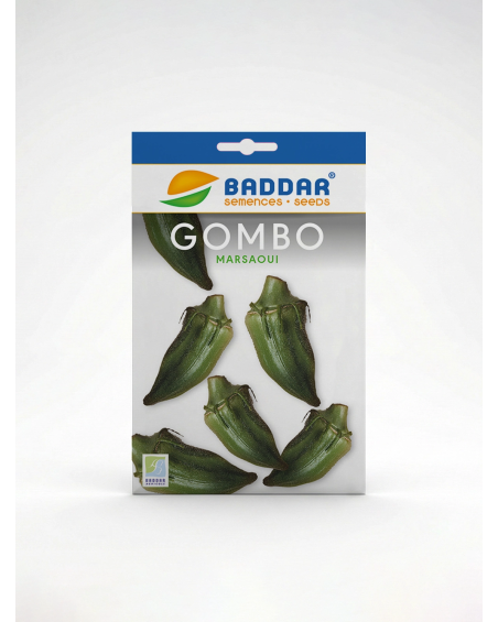 Gombo Marsaoui Baddar – Semence locale | Agriclic.tn