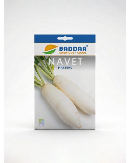Semence Navet Marteau Baddar | Agriclic.tn