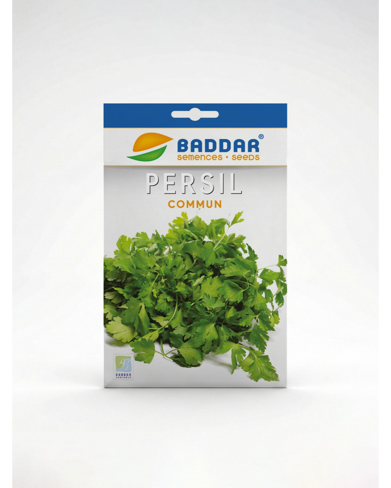 Semence Persil Commun Baddar | Agriclic.tn
