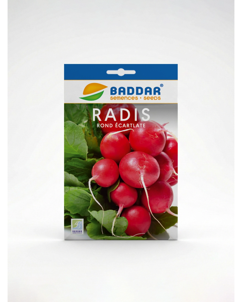 Semence Radis Rond Écarlate Baddar | Agriclic.tn