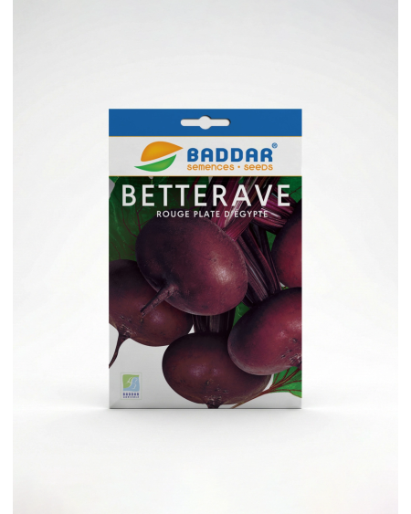 Betterave Rouge Plate d'Égypte Baddar – Semences | Agriclic.tn