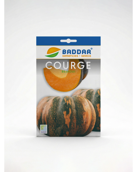 Courge Béjaoui Baddar – Semence tunisienne | Agriclic.tn