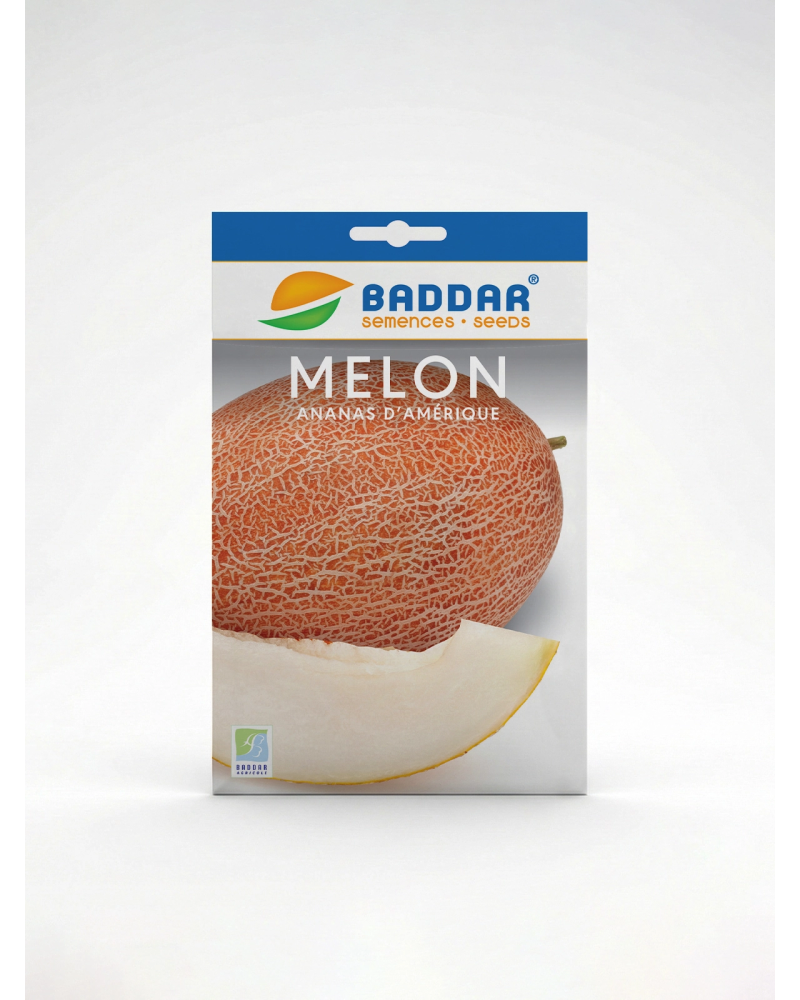Melon Ananas Amérique – Semence de melon | Agriclic.tn