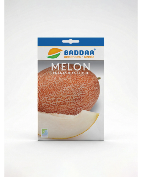 Melon Ananas Amérique – Semence de melon | Agriclic.tn